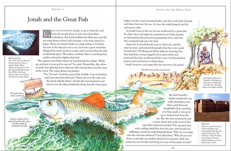 Sample content 3_The Children's Pocket Bible