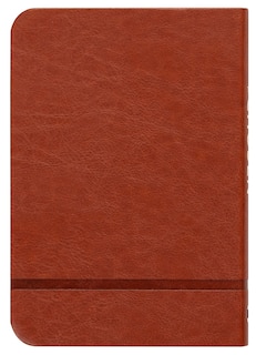 Back cover_The Chosen Book One