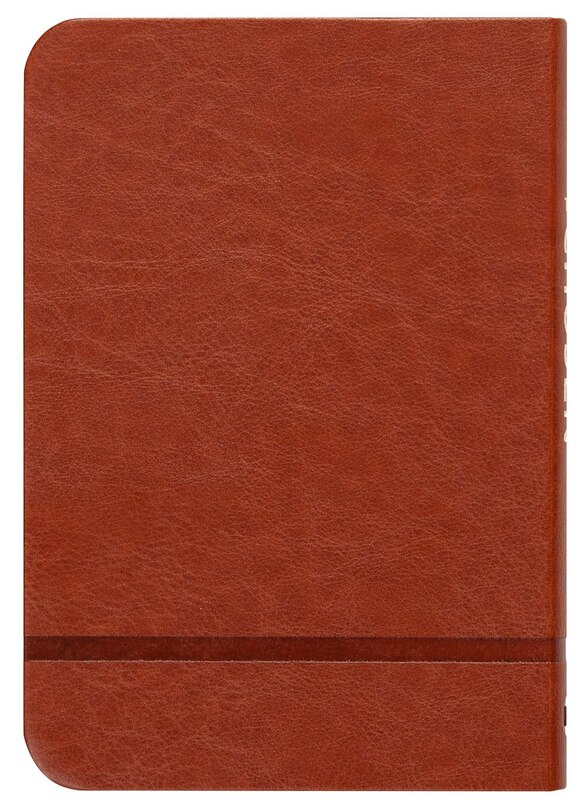 Back cover_The Chosen Book One