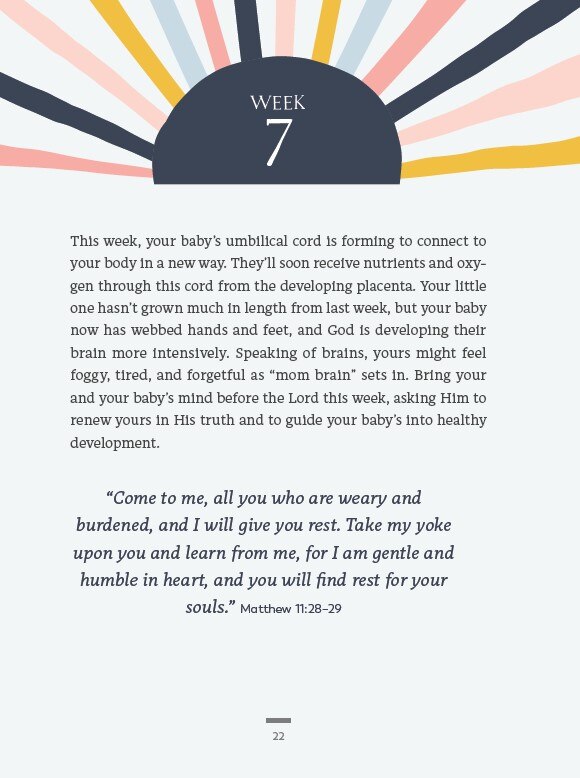 Aper&ccedil;u du contenu_The Christian Mom's Pregnancy Journal