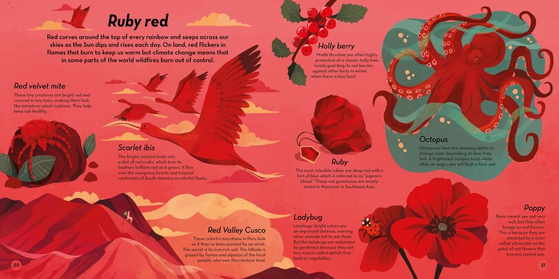 Aperçu du contenu_The Colors of Nature