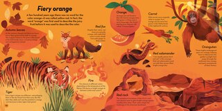 Aperçu du contenu 2_The Colors of Nature