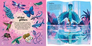 Aperçu du contenu 4_The Colors of Nature