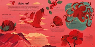 Sample content 5_The Colors of Nature