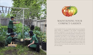 Sample content 4_The Compact Garden