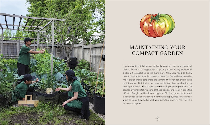 Sample content 4_The Compact Garden