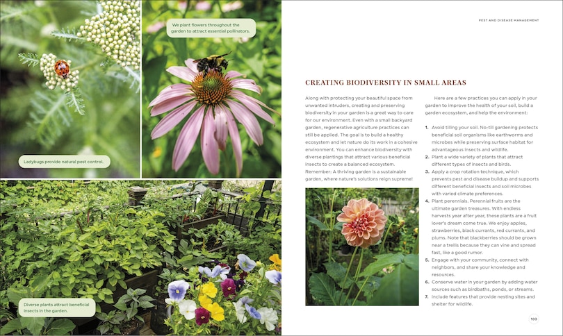 Sample content 5_The Compact Garden