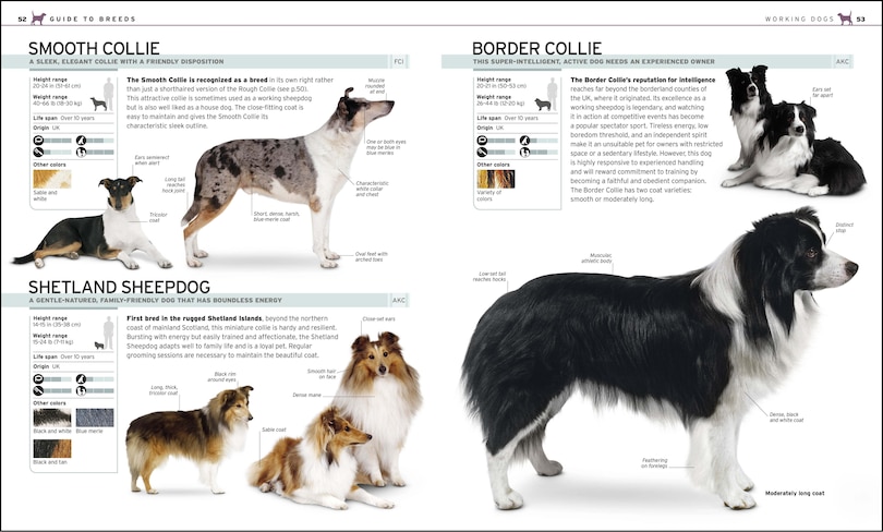 Sample content 4_The Complete Dog Breed Book, New Edition