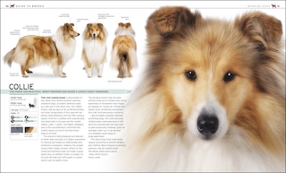 Sample content 5_The Complete Dog Breed Book, New Edition