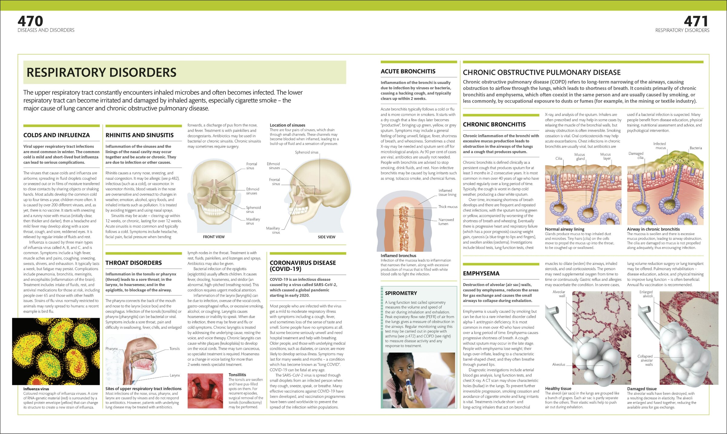 The Complete Human Body: The Definitive Visual Guide Book By
