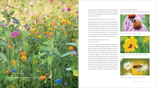 Sample content 4_The Contemporary Cottage Garden