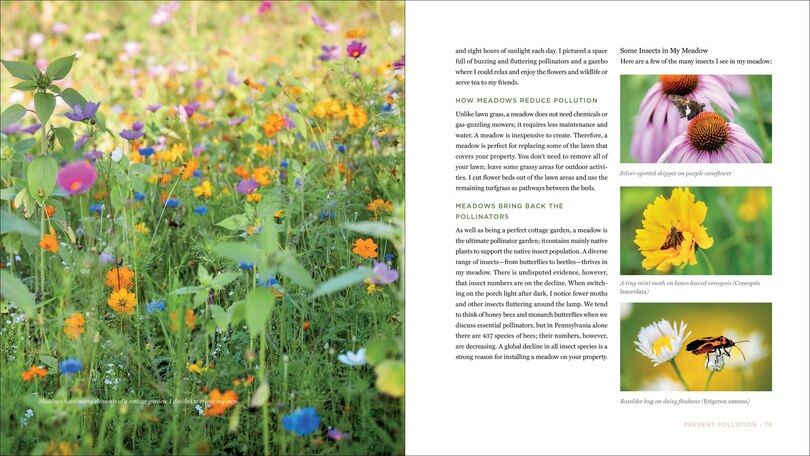 Sample content 4_The Contemporary Cottage Garden
