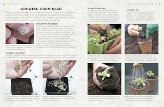 Sample content_The Cook's Herb Garden