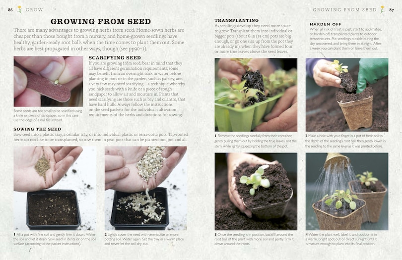 Sample content_The Cook's Herb Garden