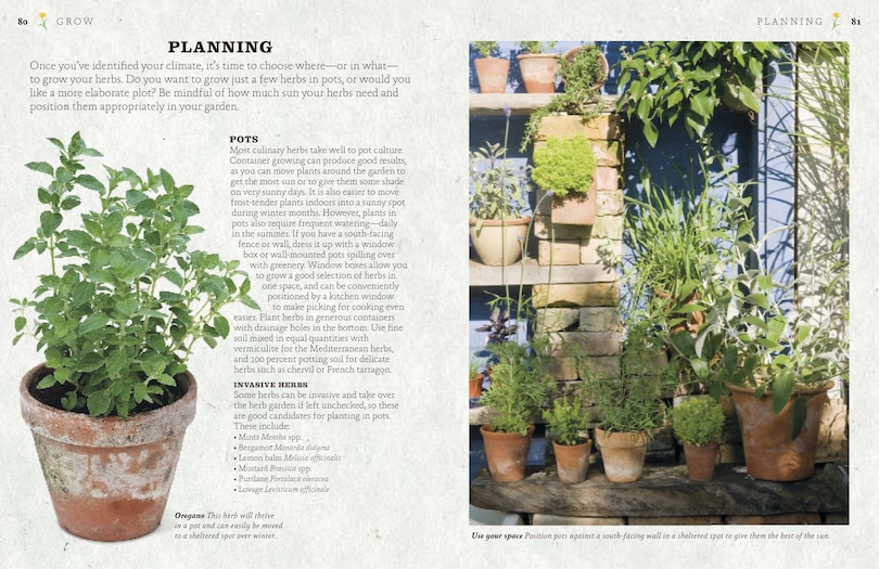 Sample content 2_The Cook's Herb Garden