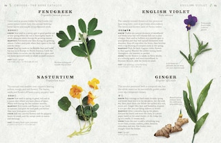 Sample content 3_The Cook's Herb Garden