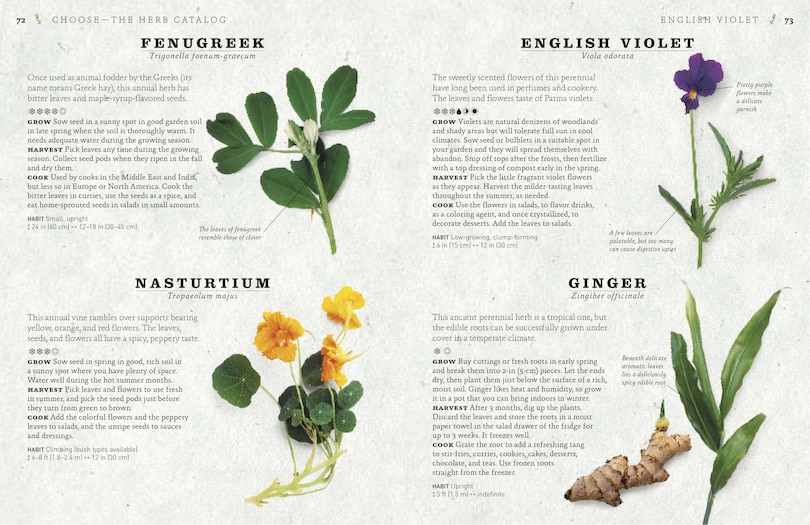 Sample content 3_The Cook's Herb Garden