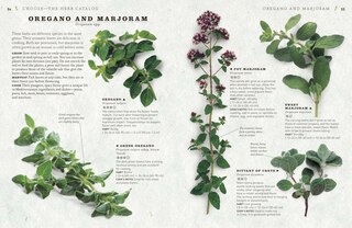 Sample content 4_The Cook's Herb Garden