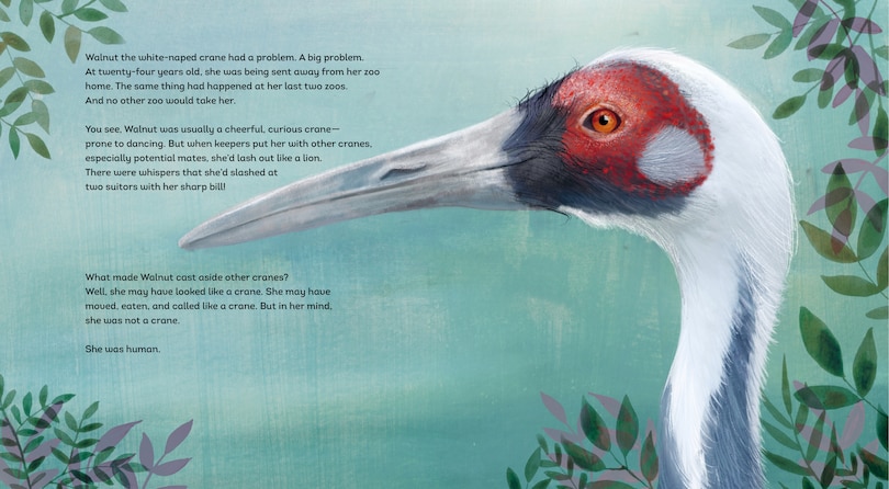 Sample content 2_The Crane and the Keeper: How an Endangered Crane Chose a Human as Her Mate