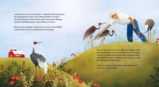 Sample content 3_The Crane and the Keeper: How an Endangered Crane Chose a Human as Her Mate