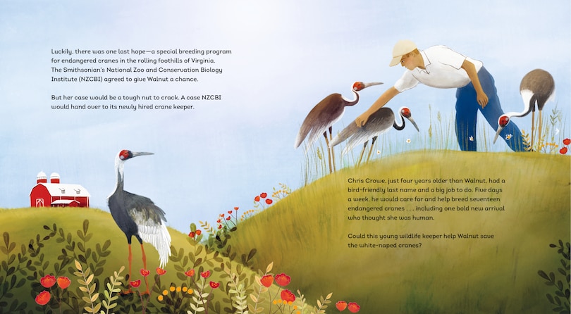 Sample content 3_The Crane and the Keeper: How an Endangered Crane Chose a Human as Her Mate