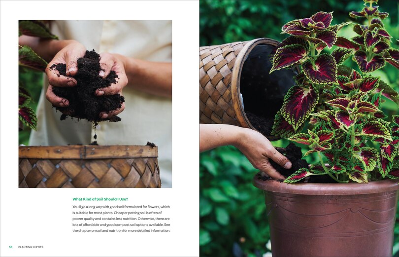 Sample content 2_The Creative Container Garden