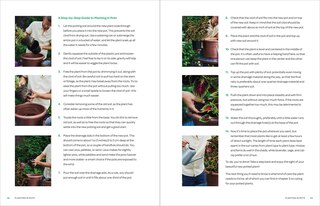 Sample content 3_The Creative Container Garden