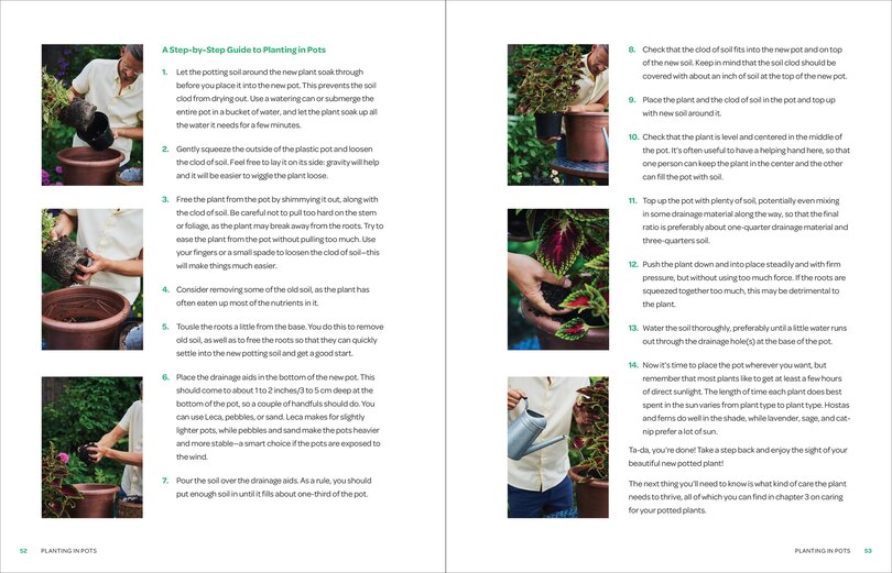 Sample content 3_The Creative Container Garden