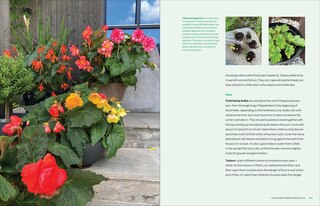 Sample content 5_The Creative Container Garden