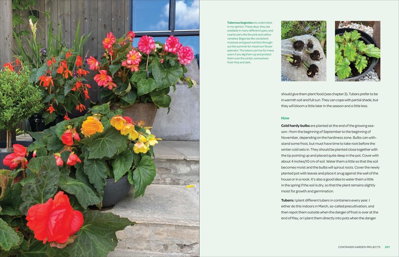 Sample content 5_The Creative Container Garden