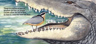 Sample content_The Crocodile Bird