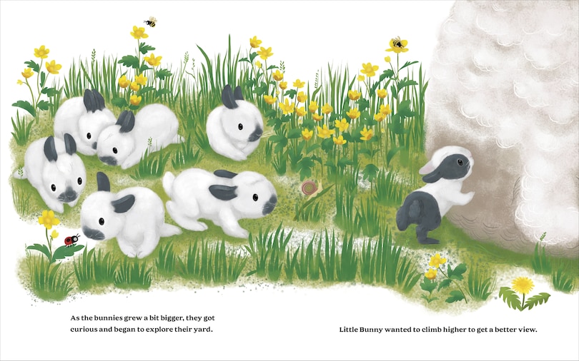 Sample content 3_The Cutest Brave Little Bunny