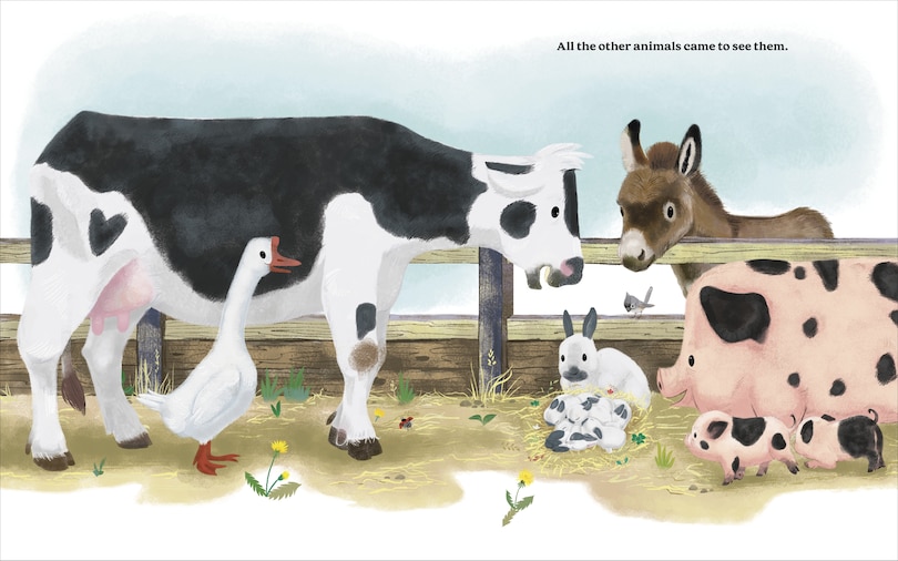 Sample content 5_The Cutest Brave Little Bunny