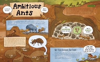 Sample content 3_The Dirt!