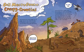 Sample content 4_The Dirt!