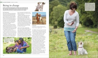 Sample content_The Dog Encyclopedia