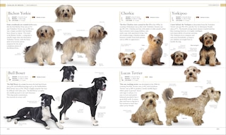 Sample content 2_The Dog Encyclopedia