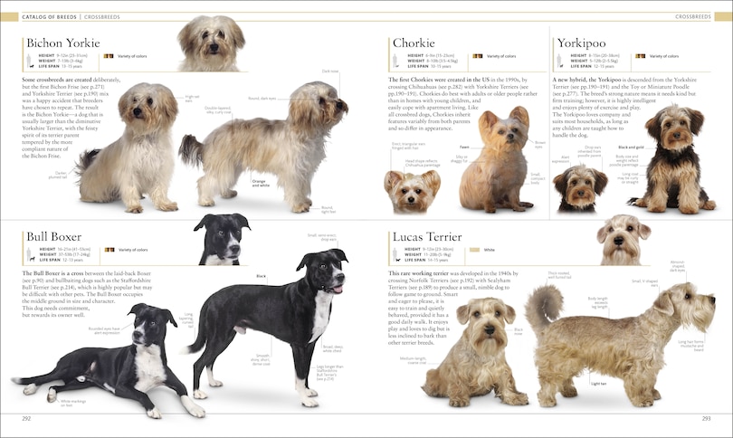 Sample content 2_The Dog Encyclopedia