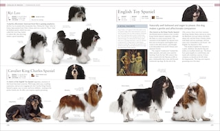 Sample content 3_The Dog Encyclopedia
