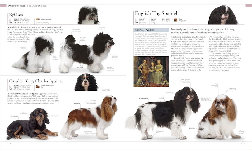 Sample content 3_The Dog Encyclopedia