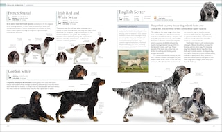 Sample content 4_The Dog Encyclopedia