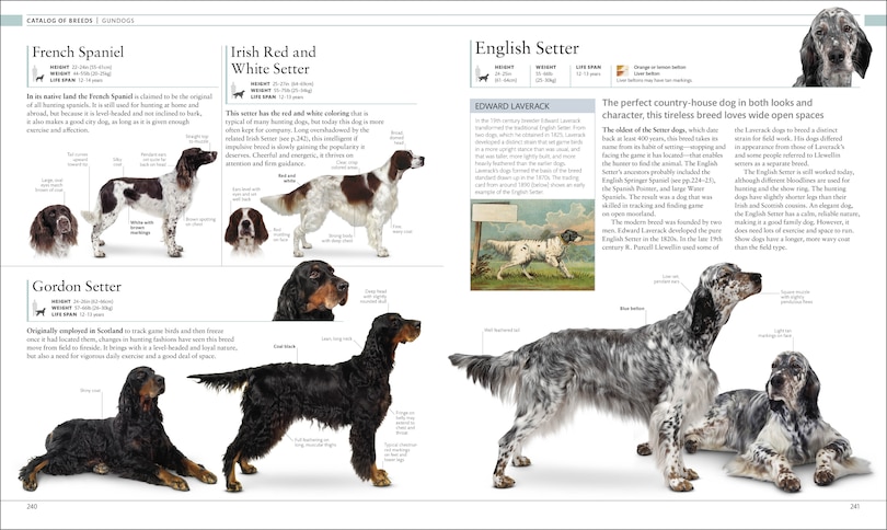 Sample content 4_The Dog Encyclopedia