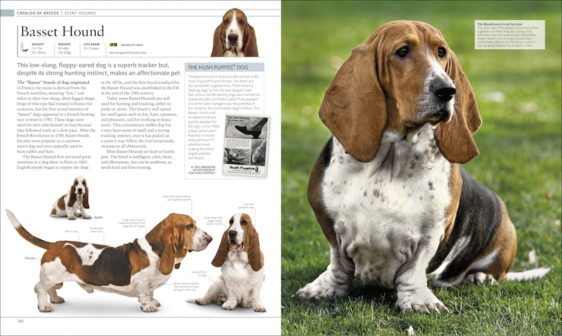 Sample content 5_The Dog Encyclopedia
