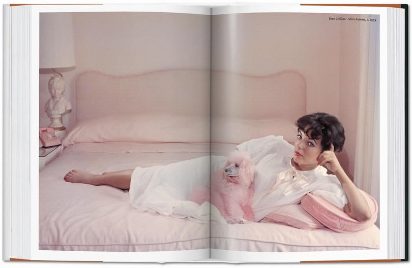 Sample content 2_The Dog in Photography 1839–Today