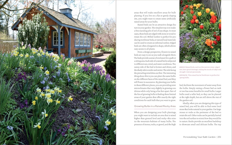 Sample content_The Essential Guide to Bulbs