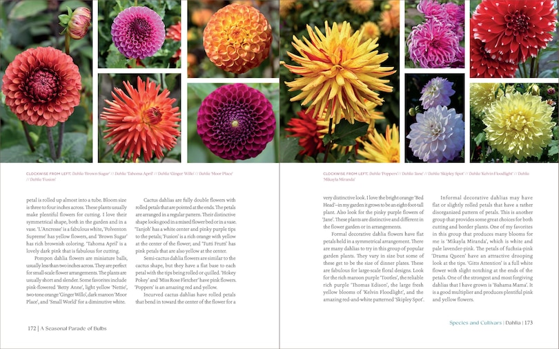 Sample content 2_The Essential Guide to Bulbs