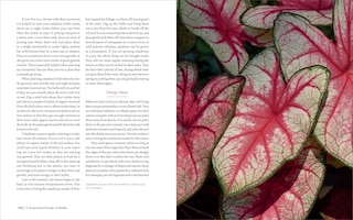 Sample content 3_The Essential Guide to Bulbs