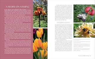 Sample content 4_The Essential Guide to Bulbs