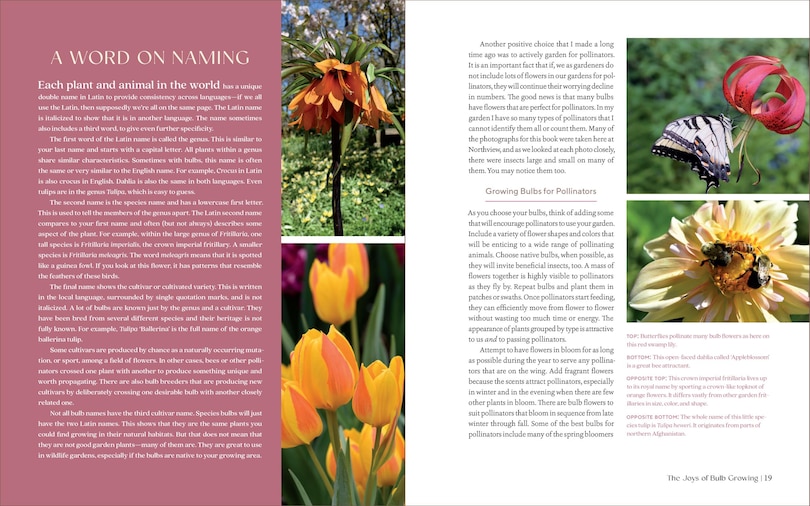Sample content 4_The Essential Guide to Bulbs
