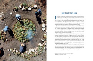 Sample content_The Essential Tequila & Mezcal Companion
